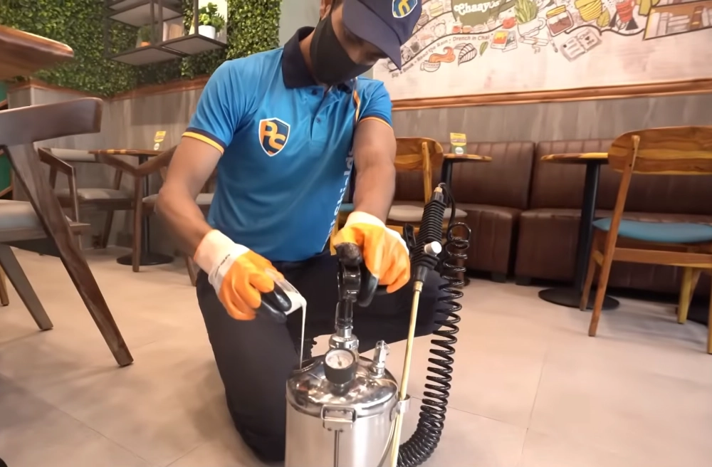 pest control sierra vista az