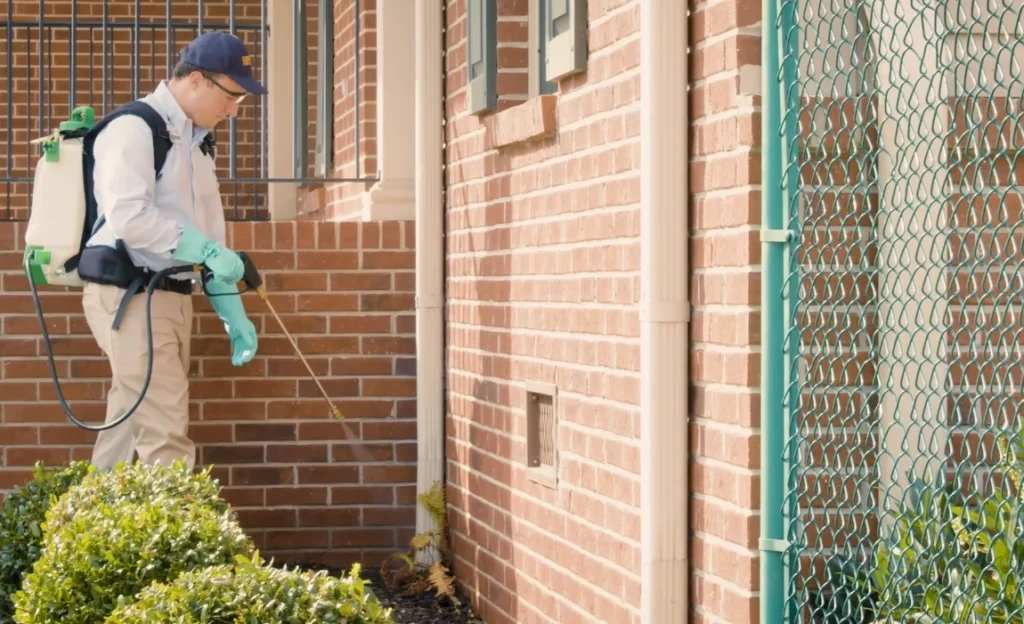 Rodent Control Rodent Control