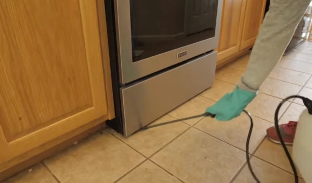 Pest Control Sierra Vista Southeast