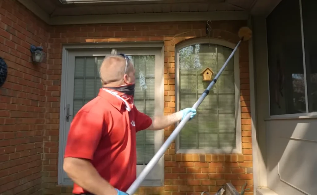 Bee & Wasp Removal Bee & Wasp Removal