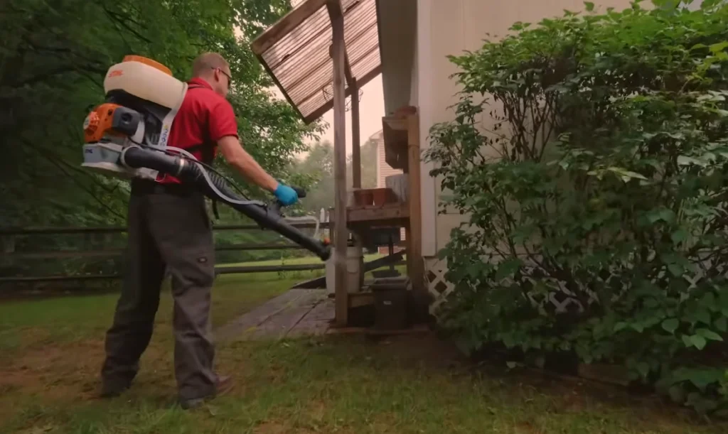 Bee & Wasp Removal Bee & Wasp Removal