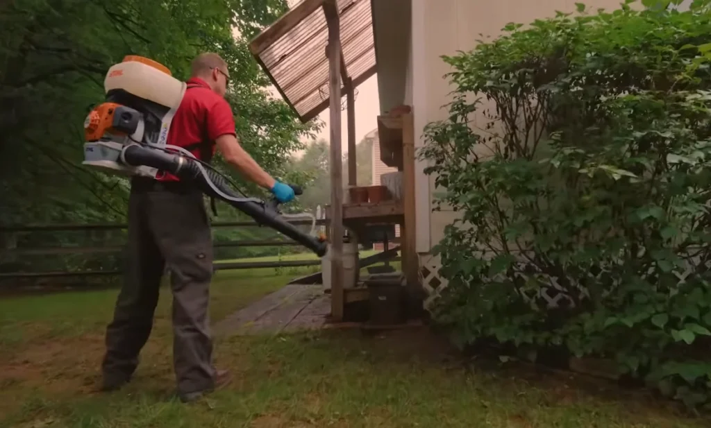 pest control sierra vista az