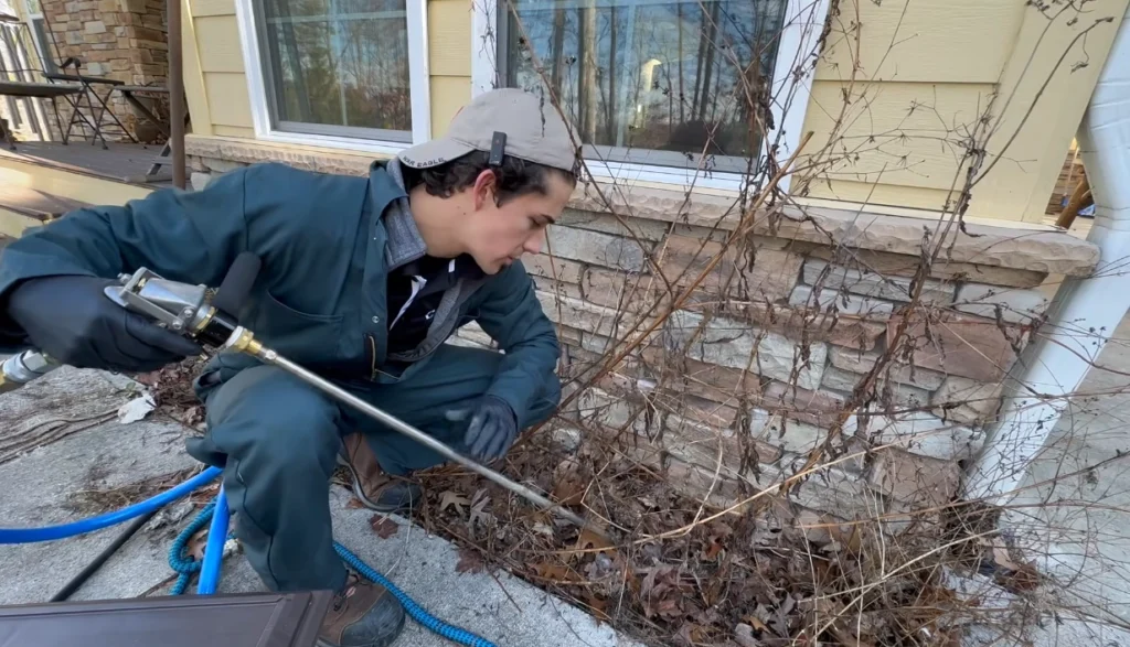 pest control sierra vista az