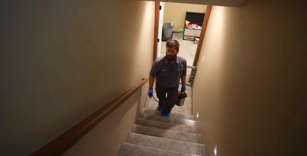 Rodent Control Rodent Control