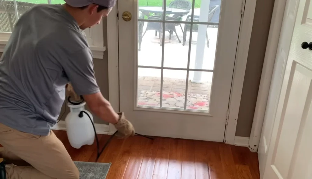 Pest Control Whetstone