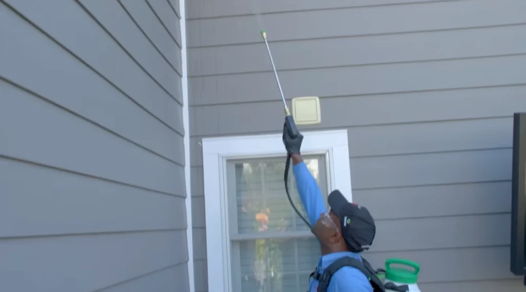 pest control sierra vista az