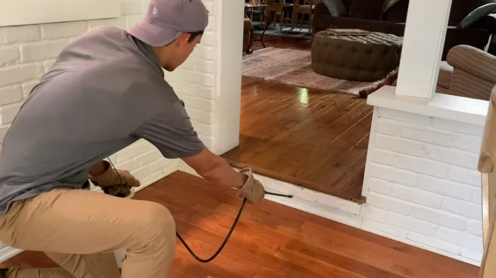 DIY vs. Professional Pest Control